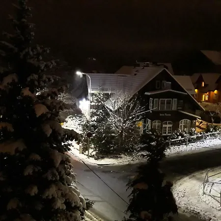 Quarto em Acomodações Particulares Daria Goscinne